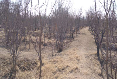 فروش باغ سمنان ۲۱۰۰ متر شاهرود روستای مغان
