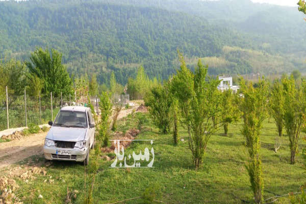 فروش زمین کشاورزی شمال ۵۰۰ متر ساری روستای سقندیکلا-2