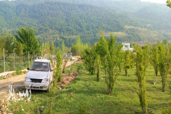 فروش زمین کشاورزی شمال ۵۰۰ متر ساری روستای سقندیکلا-3