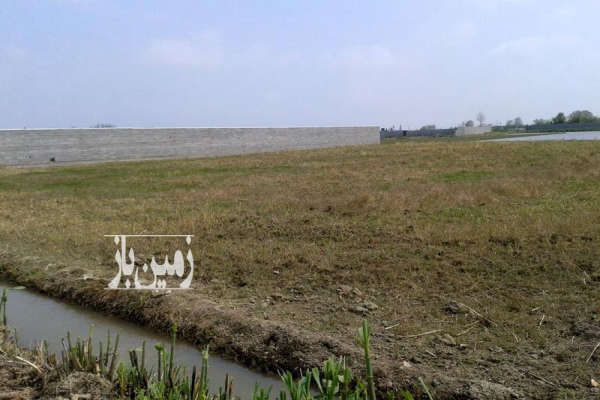فروش زمین کشاورزی شمال ۸۰۰۰ متر آمل روستای ذاغده-4