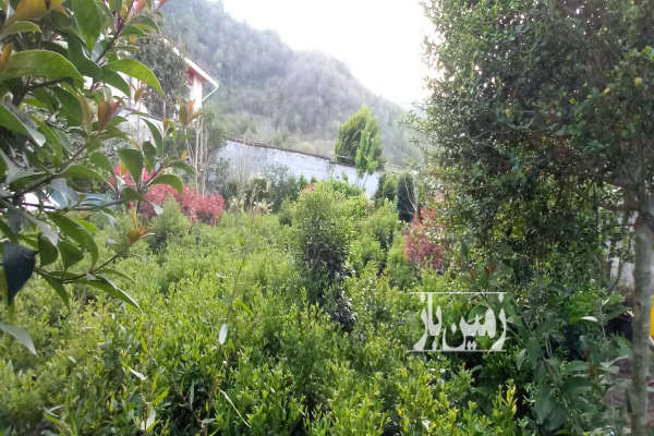 فروش زمین مسکونی گیلان ۳۸۸ متر چابکسر قاسم اباد-1