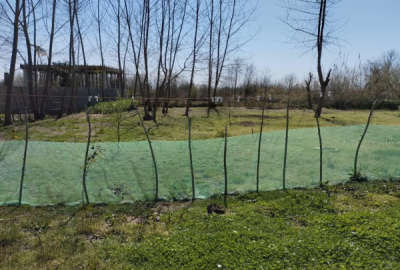فروش زمین مسکونی گیلان ۴۱۶ متر خمام روستای چوکام فرشکی
