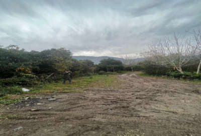 فروش زمین باغ گیلان ۱۱۰۰ متر چابکسر روستای دوگلسر