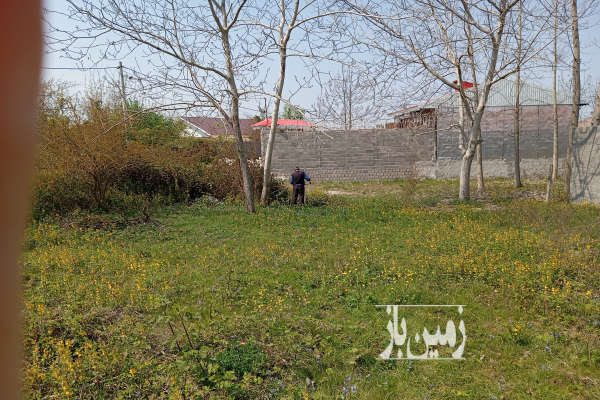 فروش زمین مسکونی گیلان ۳۰۳ متر سنگر روستای بنکده-1