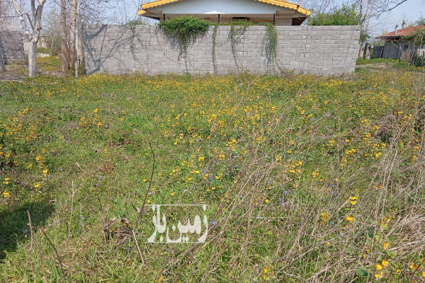 فروش زمین مسکونی گیلان ۳۰۳ متر سنگر روستای بنکده-2