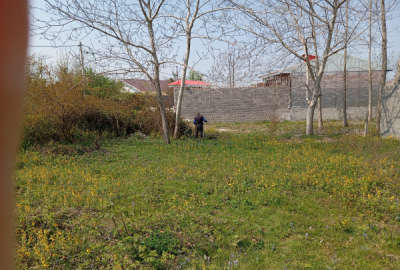 فروش زمین مسکونی گیلان ۳۰۳ متر سنگر روستای بنکده