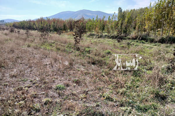 فروش زمین باغ آذربایجان غربی ۵۷۰۰ متر خوی روستای بابکان-1