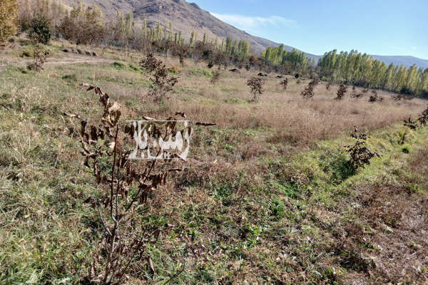 فروش زمین باغ آذربایجان غربی ۵۷۰۰ متر خوی روستای بابکان-2