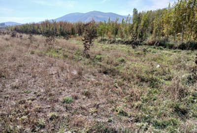 فروش زمین باغ آذربایجان غربی ۵۷۰۰ متر خوی روستای بابکان
