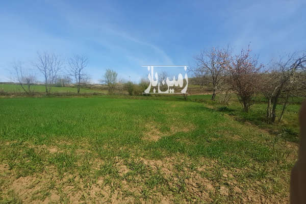 فروش زمین مسکونی شمال ۹۰۰ متر نکا روستای پوروا-1