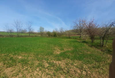 فروش زمین مسکونی شمال ۹۰۰ متر نکا روستای پوروا