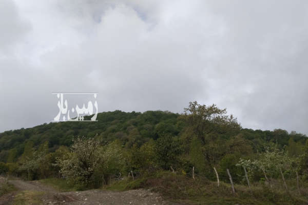 فروش زمین مسکونی شمال ۲۱۰ متر تنکابن سلیمان آباد-2