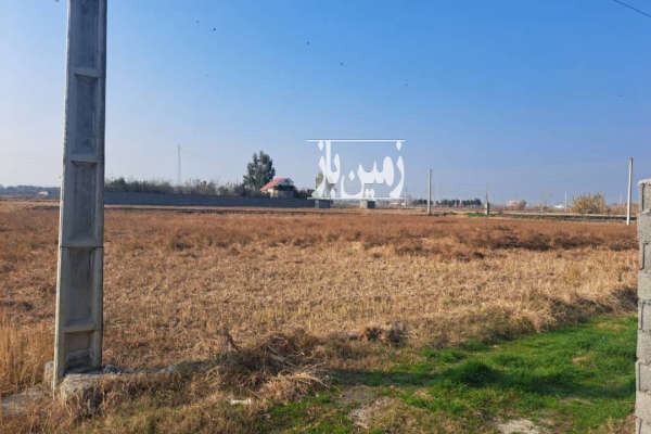 فروش زمین کشاورزی شمال ۷۰۷۰ متر آمل دابودشت-2