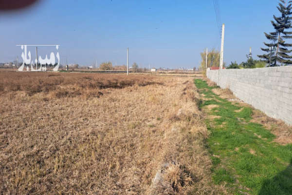 فروش زمین کشاورزی شمال ۷۰۷۰ متر آمل دابودشت-3
