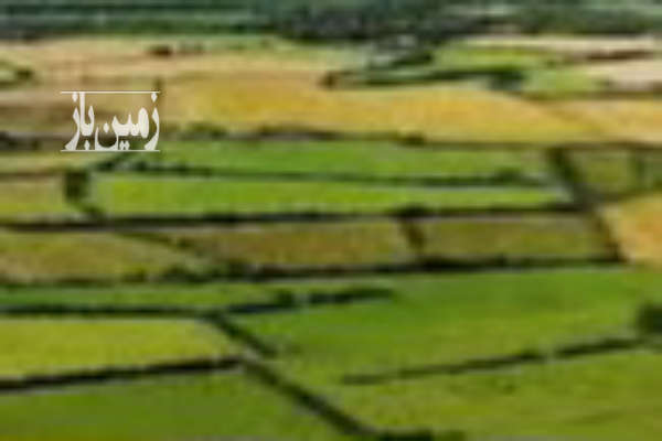 فروش زمین مسکونی گیلان ۳۰۷ متر لاهیجان-1