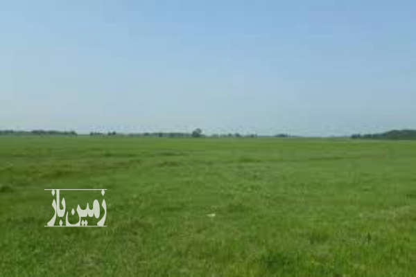 فروش زمین کشاورزی هشتگرد ۱۵۰۰۰ متر شهرک سمیه شهرک کوروش روستای نجم آباد-1
