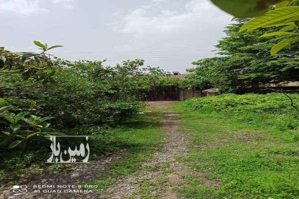 فروش زمین مسکونی گیلان ۹۰۰ متر هشتپر مشجر-1