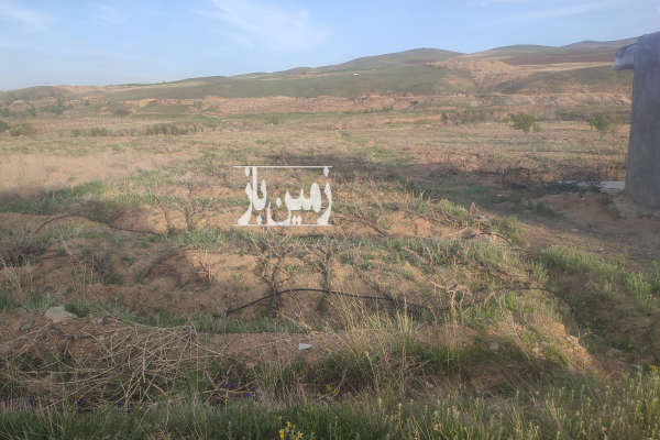 فروش زمین باغ زنجان ۲۶۰۰ متر ابهر روستای ایسباز-1