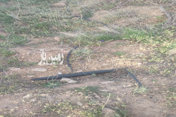 فروش زمین باغ زنجان ۲۶۰۰ متر ابهر روستای ایسباز-2