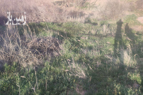 فروش زمین باغ زنجان ۲۶۰۰ متر ابهر روستای ایسباز-4