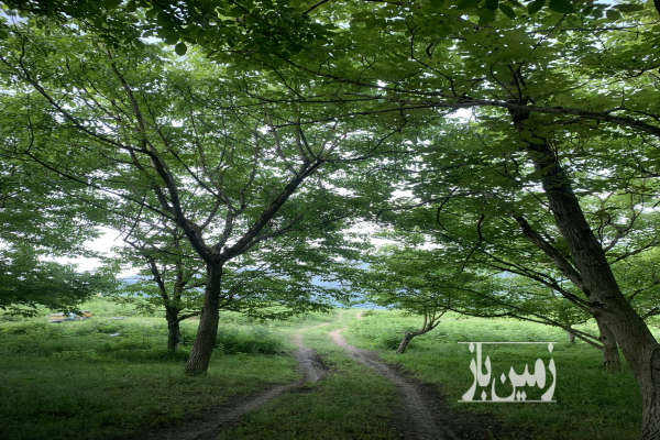 فروش زمین شمال ۱۰۰۰ متر زیرآب روستای بهمنان-1