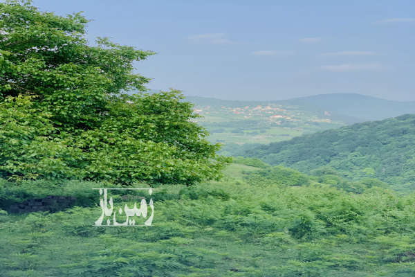 فروش زمین شمال ۱۰۰۰ متر زیرآب روستای بهمنان-2