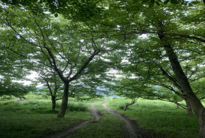 فروش زمین شمال ۱۰۰۰ متر زیرآب روستای بهمنان