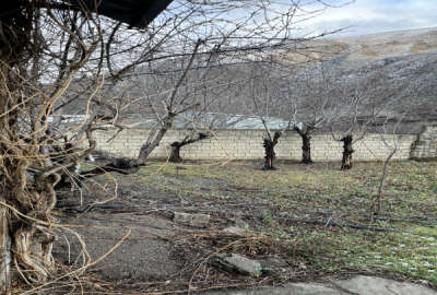 فروش زمین مسکونی باغی شمال ۴۱۰ متر سوادکوه روستای سرخ آباد