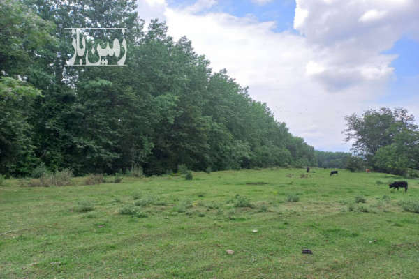 فروش زمین مسکونی گیلان ۲۵۰ متر ماسال شاندرمن روستای قران-1