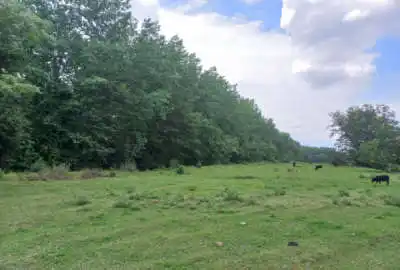 زمین مسکونی ۲۴۸ متر ماسال شاندرمن یکی از روستاهای بینظیر منطقه