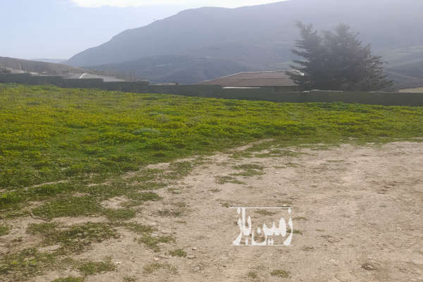 فروش زمین مسکونی شمال ۲۰۰ متر سوادکوه-1