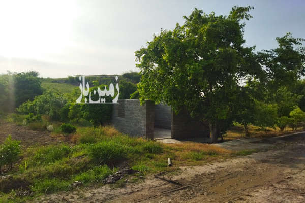 فروش زمین باغ شمال ۴۲۴۰ متر نکا-2