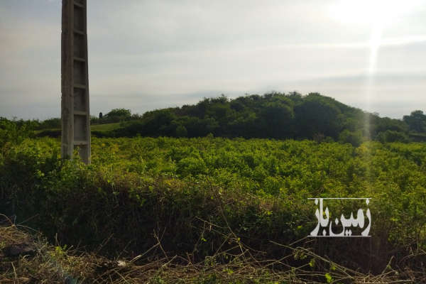 فروش زمین باغ شمال ۴۲۴۰ متر نکا-3