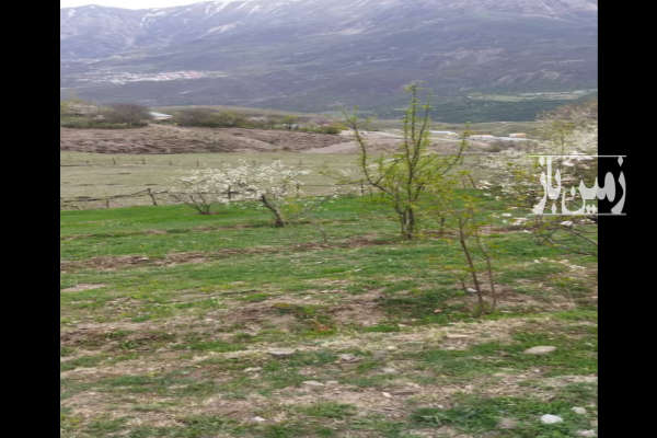 فروش زمین باغ کشاورزی شمال ۲۵۰۰ متر آمل نمارستاق روستای شیخ محله-1