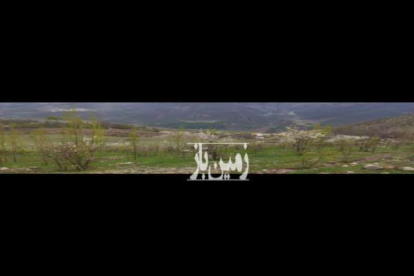 فروش زمین باغ کشاورزی شمال ۲۵۰۰ متر آمل نمارستاق روستای شیخ محله-3