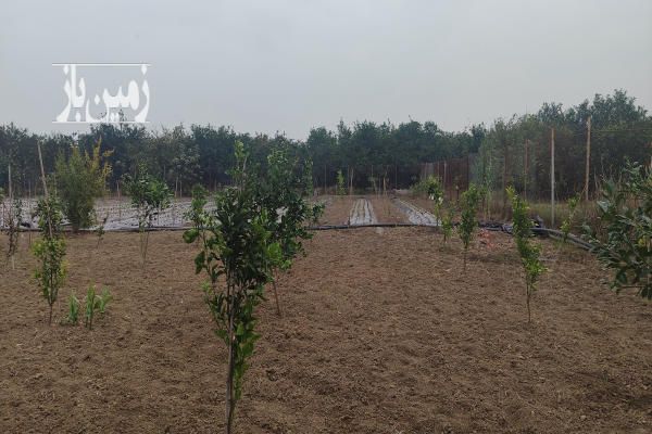فروش زمین شمال ۷۰۰ متر ساری جاده جویبار روستای ابکسر-2