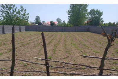 فروش زمین باغ گیلان ۵۰۰ متر آستانه اشرفیه جاده کیاشهر روستای اشمان کماچال