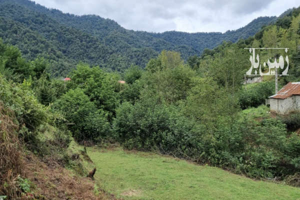 فروش زمین مسکونی گیلان ۱۰۰۰ متر ماسال روستای مرکیه-1