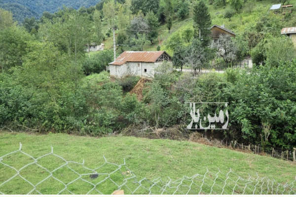 فروش زمین مسکونی گیلان ۱۰۰۰ متر ماسال روستای مرکیه-2