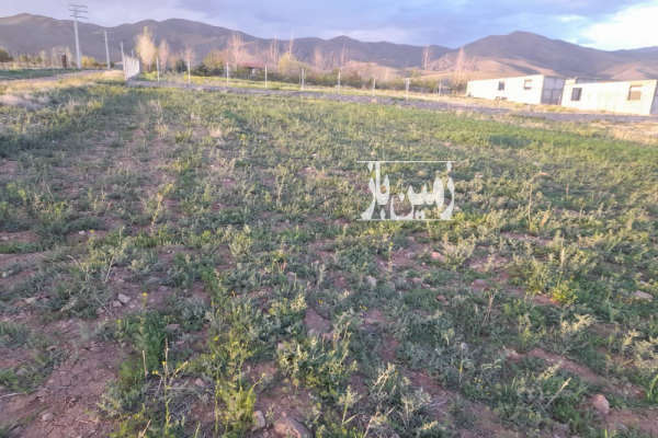فروش زمین باغ البرز ۳۰۰۰ متر هشتگرد هیو روستای شلمزار-1