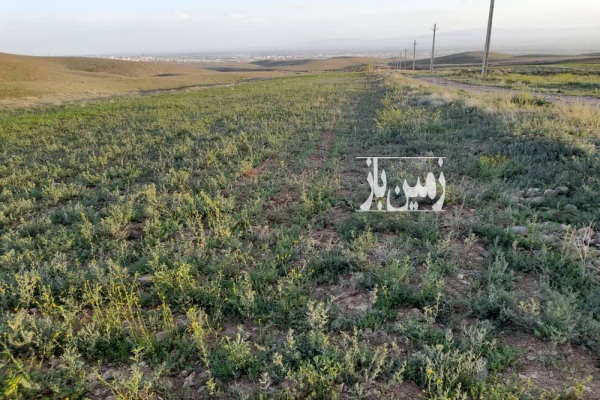فروش زمین باغ البرز ۳۰۰۰ متر هشتگرد هیو روستای شلمزار-2
