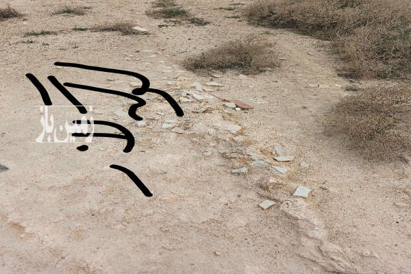 فروش زمین صنعتی کشاورزی آذربایجان شرقی ۷۲۲۲ متر آذرشهر-3