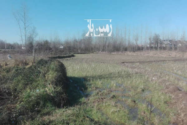 فروش زمین کشاورزی گیلان ۱۱۶۴ متر لاهیجان روستای گلرودبار-3