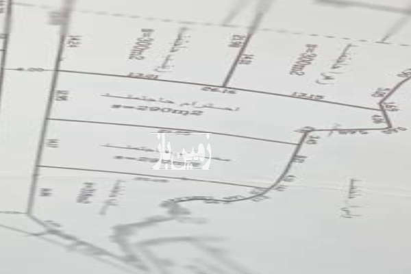 فروش زمین کشاورزی گیلان ۶۰۰ متر فومن قلعه رودخان فوشه-3