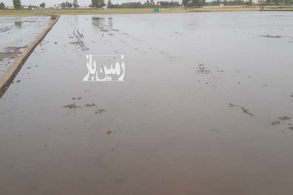 فروش زمین کشاورزی شمال ۱۰۰۰۰ متر محمودآباد روستای چهارمحل آهی متوریج-1