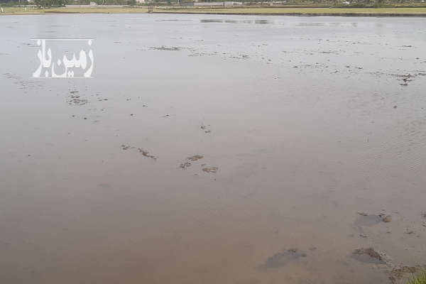 فروش زمین کشاورزی شمال ۱۰۰۰۰ متر محمودآباد روستای چهارمحل آهی متوریج-3