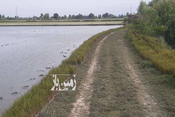فروش زمین کشاورزی شمال ۱۰۰۰۰ متر محمودآباد روستای چهارمحل آهی متوریج-4