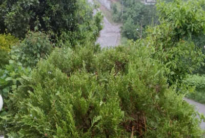 فروش زمین مسکونی تجاری گیلان ۱۵۰۰ متر آستانه اشرفیه روستای کارسیدان