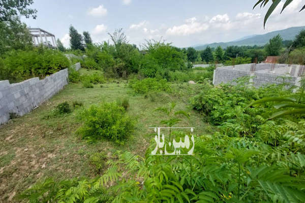 فروش زمین گیلان ۵۳۰ متر شفت‌‌ چوبر‌ روستای‌ بجارسر-2