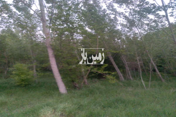 فروش زمین باغ زنجان ۱۲۰۰ متر خرمدره خیابان شریعتی خیابان کشاورز-1